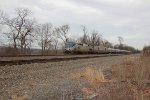 Amtrak 103 leading train 43